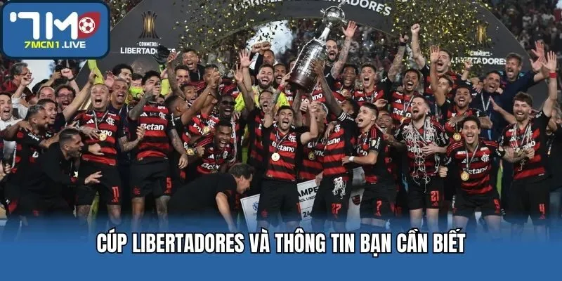 Cúp libertadores và thông tin bạn cần biết