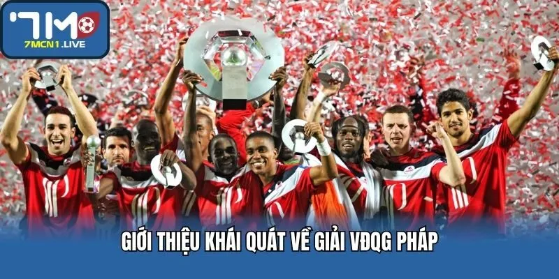 Giới thiệu khái quát về giải VĐQG Pháp
