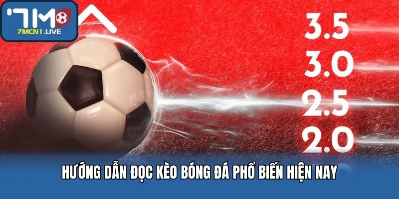 Hướng dẫn đọc kèo bóng đá phổ biến hiện nay